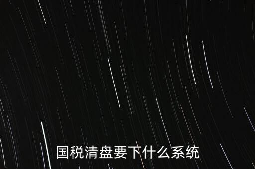 新疆國稅報稅什么系統(tǒng)，新疆國稅什么申報