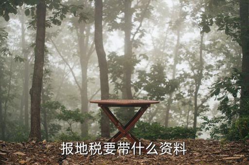 報地稅要帶什么資料，地稅報稅需要什么資料