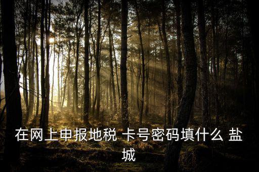 微信申報(bào)地稅的密碼是什么，地稅申報(bào)的用戶名和密碼是什么