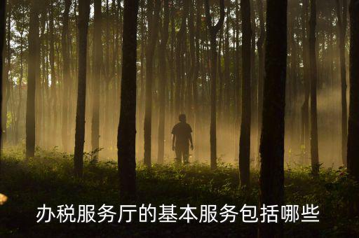 一體化辦稅服務(wù)廳是什么，辦稅服務(wù)廳的基本服務(wù)包括哪些