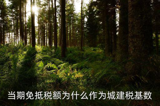 免抵稅額為什么要交城建稅，免抵稅額為什么要負(fù)擔(dān)城建稅和教育費(fèi)附加