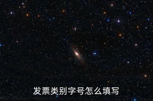 餐飲發(fā)票是什么字體，發(fā)票類別字號(hào)怎么填寫(xiě)