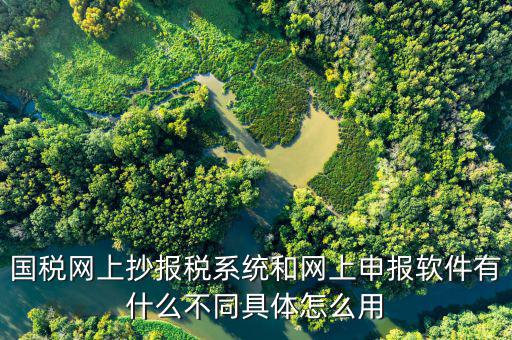 國稅申報(bào)軟件是什么意思，你用過網(wǎng)上申報(bào)軟件嗎是申報(bào)什么的我們公司有河北國稅納稅人端