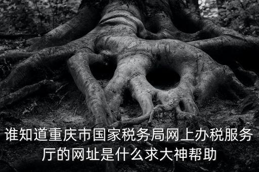 重慶稅務(wù)網(wǎng)站是什么，那個小型企業(yè)網(wǎng)上申報(bào)稅務(wù)的網(wǎng)站是多少啊發(fā)了一張流程表上