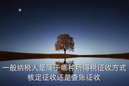 一般納稅人屬于什么，什么是一般納稅人