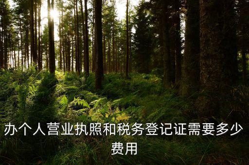 辦理稅務(wù)需要什么手續(xù)費(fèi)，辦地稅收手續(xù)費(fèi)
