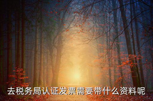 發(fā)票認證都需要帶什么，去開票大廳認證發(fā)票需要帶什么資料