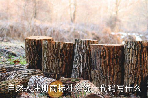 自然人注冊商標(biāo)社會(huì)統(tǒng)一代碼寫什么