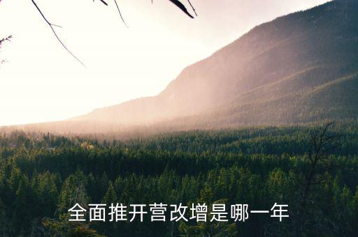 17年?duì)I改增改了什么時(shí)候，全面推開(kāi)營(yíng)改增是哪一年