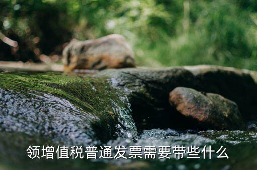 領增值稅普通發(fā)票需要帶些什么