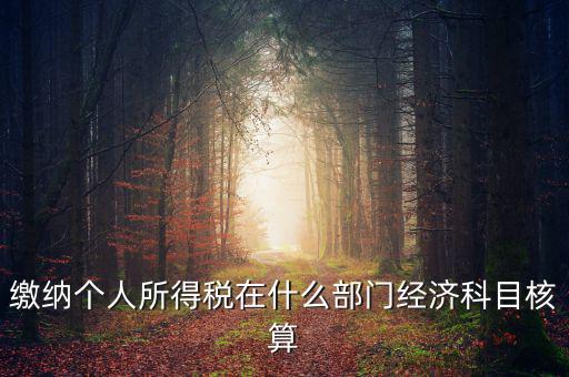 繳納個(gè)人所得稅在什么部門(mén)經(jīng)濟(jì)科目核算