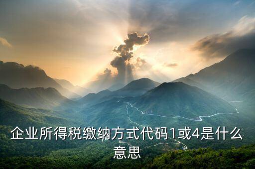 征收代碼是什么意思，工商所開的非稅收入收款收據(jù)上的代碼是什么意思