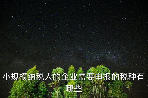 國稅小企業(yè)報什么稅，無錫 一般納稅人 小企業(yè)納稅人 國稅 地稅 分別要報哪些