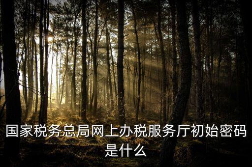 江蘇地稅登錄密碼是什么意思，江蘇地稅開票密碼是多少