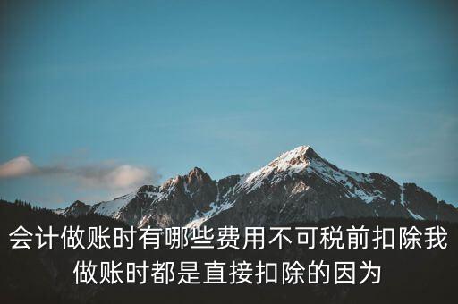 什么不可以稅前扣除嗎，納稅人哪些支出不能在企業(yè)所得稅前扣除