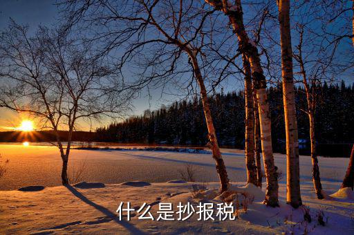 什么是抄稅報(bào)稅申報(bào)，抄稅和報(bào)稅是什么意思 應(yīng)該怎么做呢