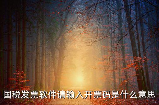 開(kāi)票二維碼是什么軟件，天津國(guó)稅通用機(jī)打發(fā)票二維碼包含的內(nèi)容解碼軟件