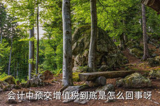 增值稅為什么要預(yù)繳，輔導(dǎo)期增購增值稅發(fā)票為什么要預(yù)繳