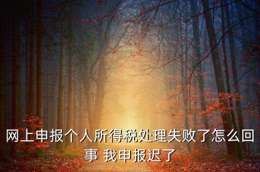 稅款處理失敗什么意思，扣繳稅款失敗提示銀財(cái)通處理失敗FAPP00444要怎樣處理才可以扣款