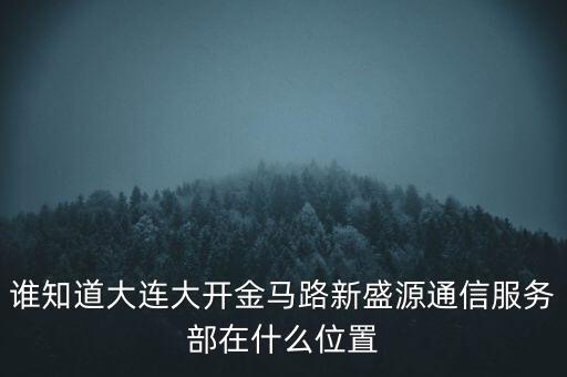 信息服務(wù)部可以叫什么地方，誰知道大連大開金馬路新盛源通信服務(wù)部在什么位置