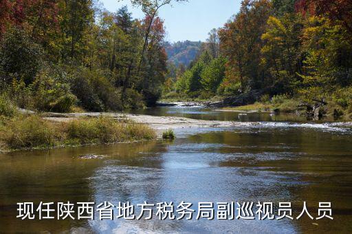 稅務(wù)局調(diào)研員是什么，一個(gè)縣區(qū)的稅務(wù)系統(tǒng)的局長(zhǎng)職位是調(diào)研員還是主任科員