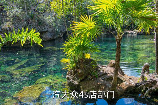 宋蘭去什么部門了，國家稅務(wù)總局的副局長宋蘭身體很豐滿