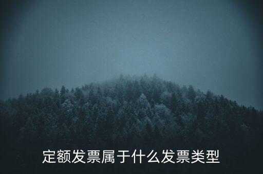 定額發(fā)票什么，河南省地稅定額發(fā)票怎么查詢