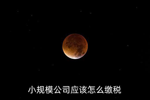 小規(guī)模公司按什么交稅嗎，一個(gè)小規(guī)模納稅公司國(guó)稅和地稅應(yīng)該都分別交什么稅