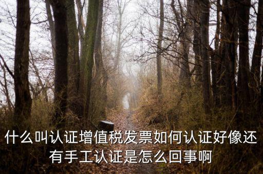 什么叫發(fā)票認(rèn)證，什么叫認(rèn)證增值稅發(fā)票如何認(rèn)證好像還有手工認(rèn)證是怎么回事啊