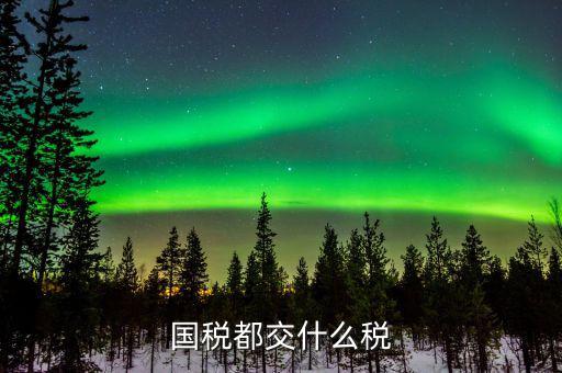 國稅稅費(fèi)是什么，國稅都交什么稅