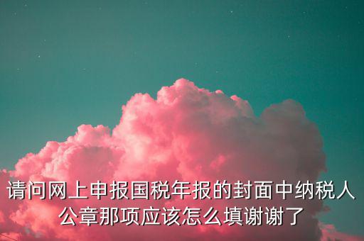 請問網(wǎng)上申報國稅年報的封面中納稅人公章那項應該怎么填謝謝了