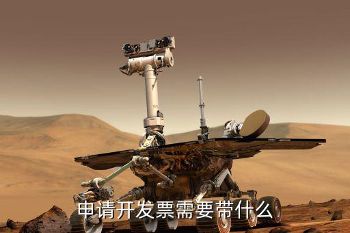 辦稅務(wù)發(fā)票需什么手續(xù)，申請開發(fā)票需要帶什么