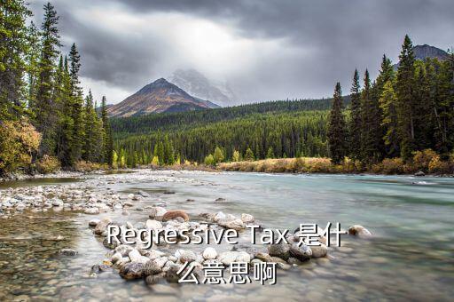 什么是稅收穿透，passthrough taxation是什么意思是直接繳稅嘛