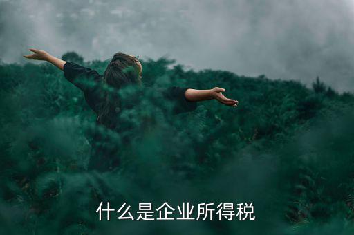 什么是企業(yè)所得稅率，什么是企業(yè)所得稅