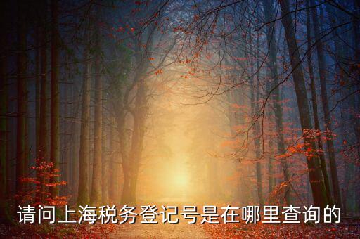 上海的稅務(wù)賬號是什么，請問上海稅務(wù)登記號是在哪里查詢的