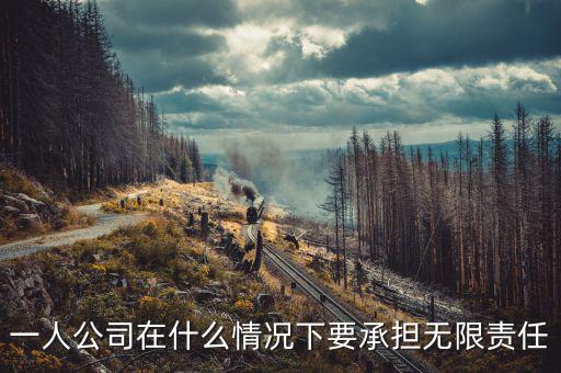 什么人承擔(dān)無(wú)限納稅義務(wù)，什么人不用納稅
