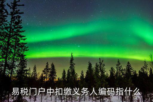 扣繳義務(wù)人識(shí)別碼是什么，易稅門(mén)戶中扣繳義務(wù)人編碼指什么