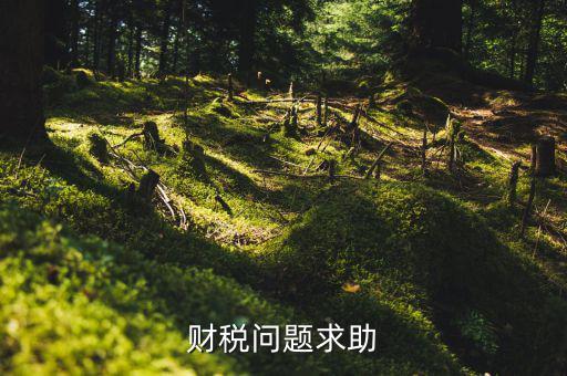 財(cái)稅問(wèn)題是什么，財(cái)稅風(fēng)險(xiǎn)都有哪些