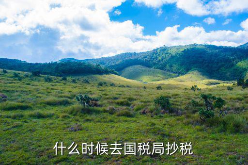 什么時(shí)候抄稅報(bào)稅，什么時(shí)候去國(guó)稅局抄稅