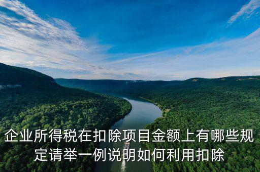 扣除項(xiàng)目金額是什么，應(yīng)稅服務(wù)扣除項(xiàng)目清單中允許扣除項(xiàng)目金額指的是什么是總