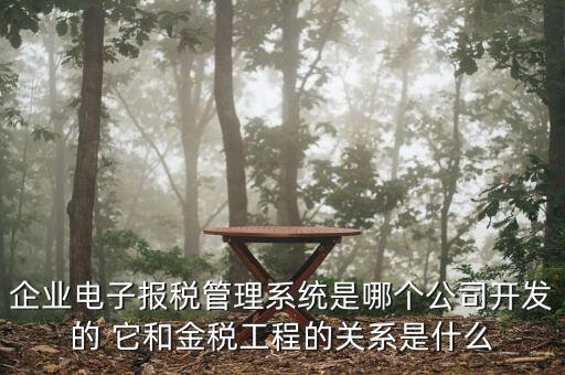 企業(yè)電子報稅管理系統(tǒng)是哪個公司開發(fā)的 它和金稅工程的關(guān)系是什么