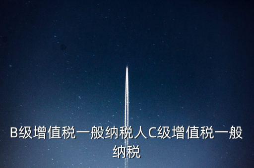 納稅用戶c級企業(yè)是什么意思，B級增值稅一般納稅人C級增值稅一般納稅