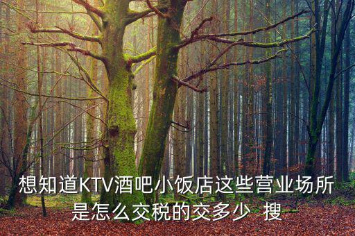 ktv交納什么稅，想知道KTV酒吧小飯店這些營業(yè)場所是怎么交稅的交多少  搜