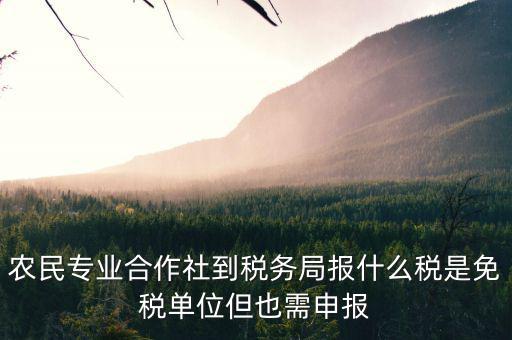 合作社應(yīng)報什么稅，農(nóng)民專業(yè)合作社是怎樣報稅的是企業(yè)還是個體戶