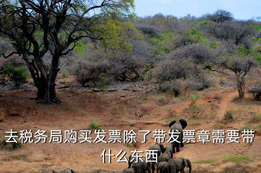 購(gòu)發(fā)票需要什么資料，個(gè)人購(gòu)物開(kāi)增值稅普通發(fā)票需要什么資料
