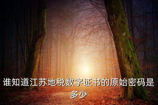 江蘇地稅登錄密碼是什么，江蘇地稅開票密碼是多少