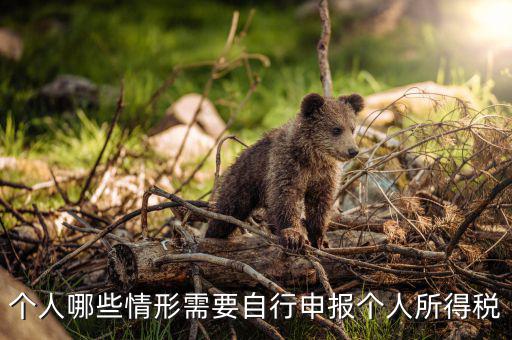 什么人申報個稅，個人哪些情形需要自行申報個人所得稅