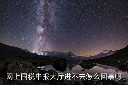 網(wǎng)上國稅申報(bào)大廳進(jìn)不去怎么回事呀