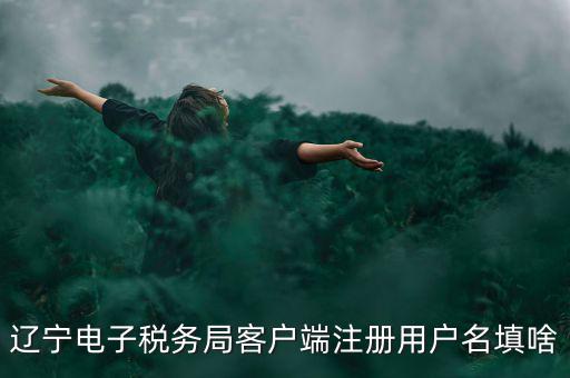遼寧電子稅務(wù)局客戶(hù)端注冊(cè)用戶(hù)名填啥