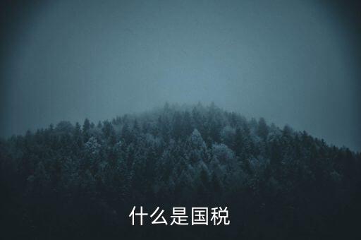 2017年國(guó)稅是什么，2017年我國(guó)財(cái)政稅收是多少